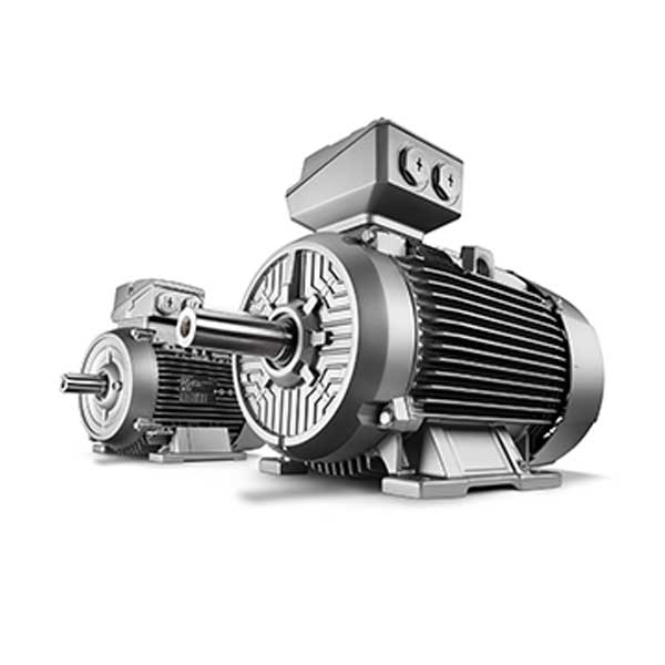 SIEMNSE-1