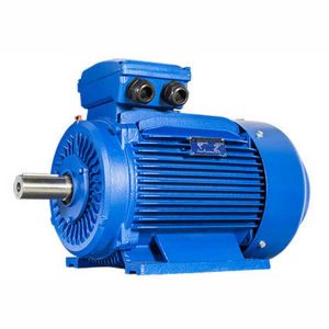 chinese-electromotor