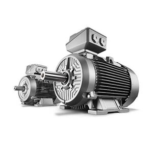 SIEMNSE-1