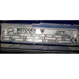 پلاک-الکتروموتور-سه-فاز